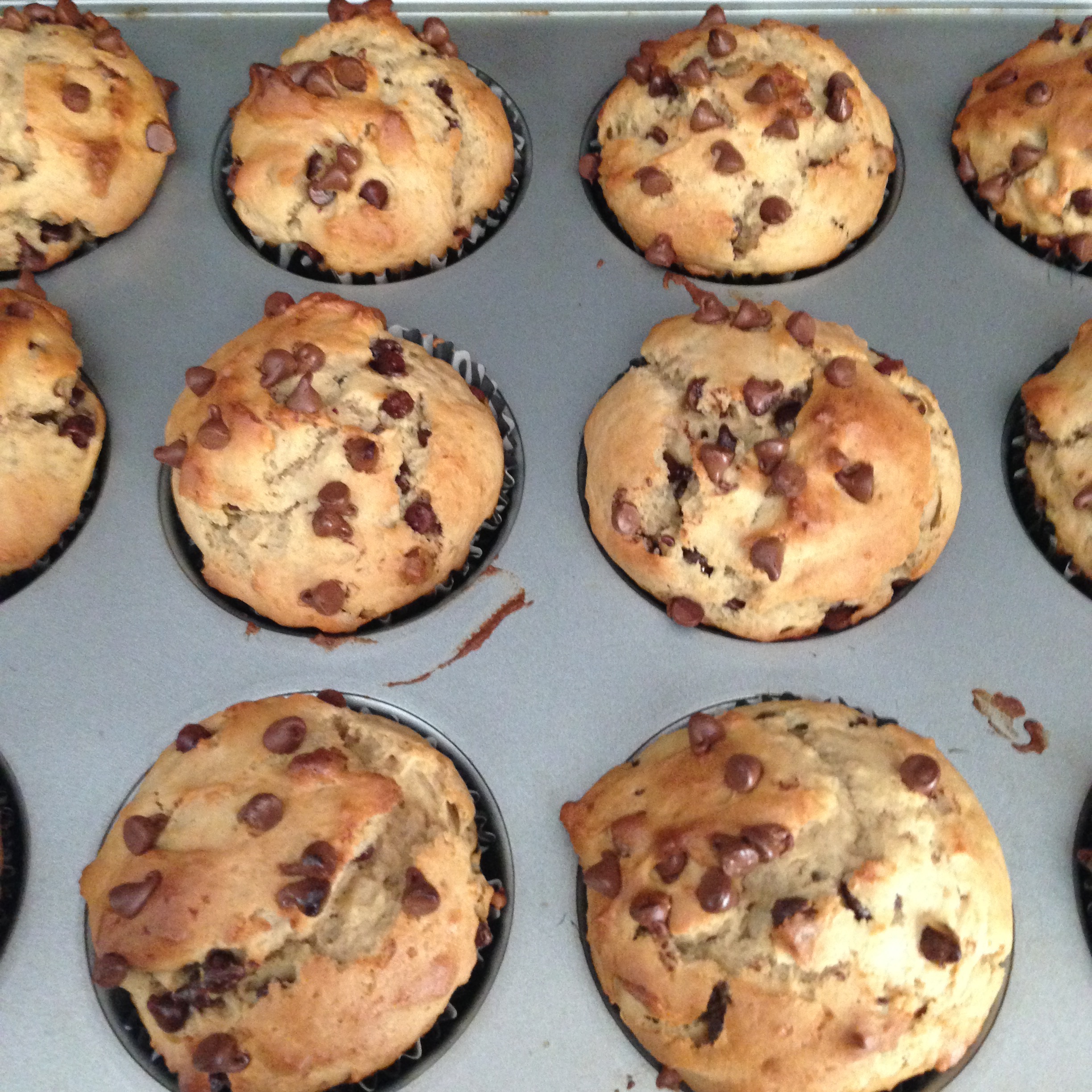 Chocolate Chip Muffins with Protein Powder | Two Clever Moms