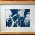 Cyanotype – Solar Prints Continued