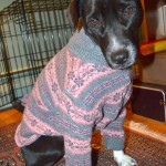 Upcycled Dog Sweater